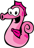 seahorse seahorse